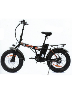 BikeMobile bici elettrica a...