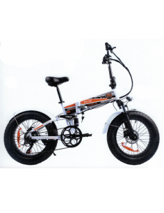 BikeMobile bici elettrica a...