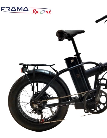 Bici elettrica VIPER 4816.5 AH 1500W