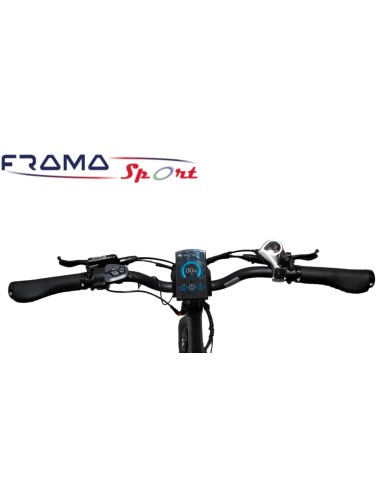 Bici elettrica VIPER 4816.5 AH 1500W