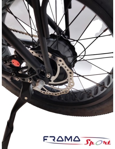 Bici elettrica VIPER 4816.5 AH 1500W