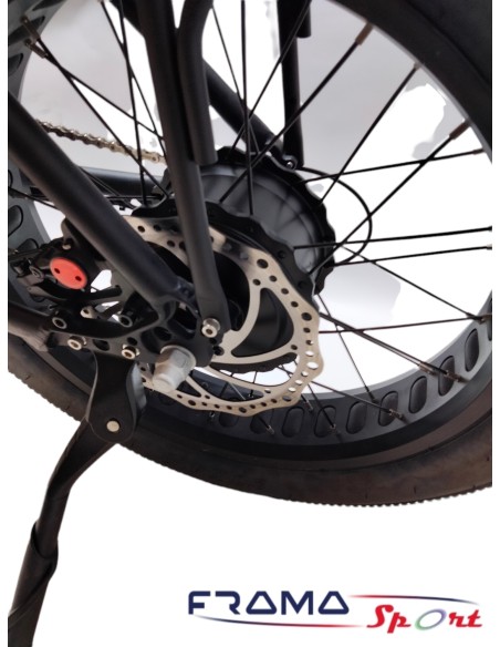 Bici elettrica VIPER 4816.5 AH 1500W