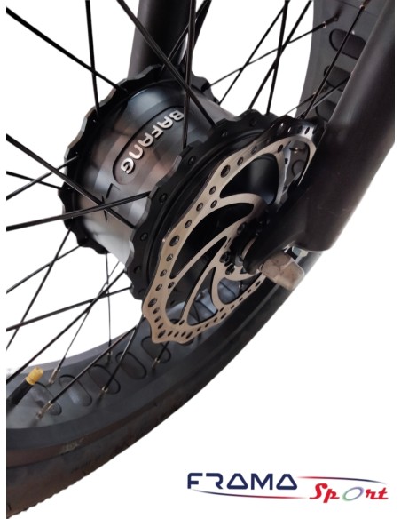 Bici elettrica VIPER 4816.5 AH 1500W