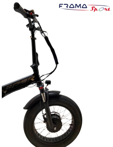 Bici elettrica VIPER 4816.5 AH 1500W