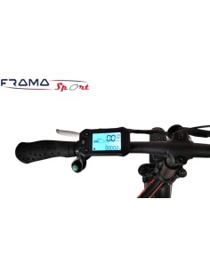 Bici elettrica a pedalata... 2