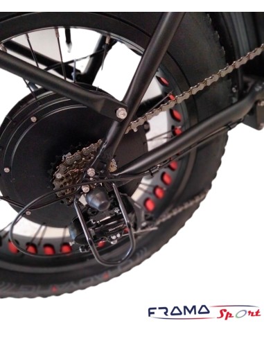 Bici elettrica a pedalata assistita...