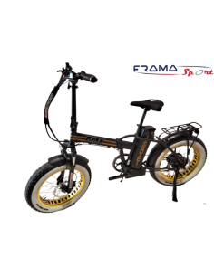 Bici elettrica a pedalata...