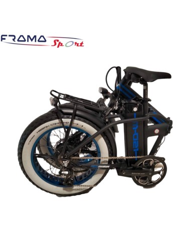 Bici elettrica a pedalata assistita...