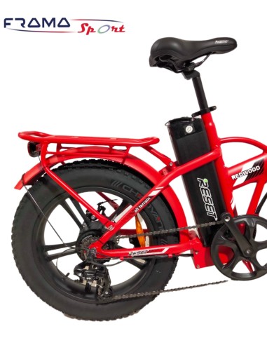 Bici elettrica a pedalata assistita...