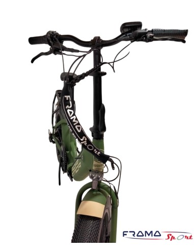 Bici elettrica a pedalata assistita...