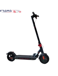 Monopattino elettrico NCX...