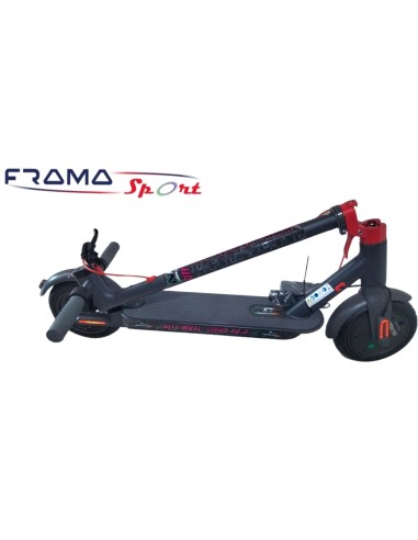 Monopattino elettrico NCX CITY MOVE...