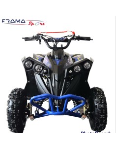 MINI QUOD NCX CAYMAN 50 R6... 2