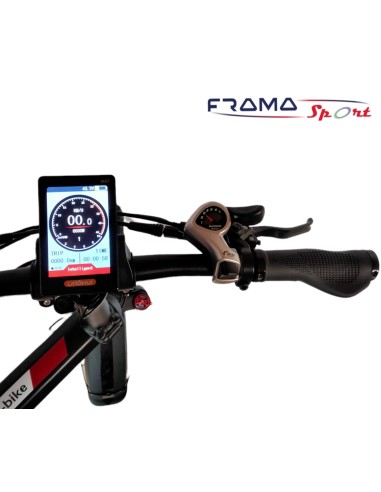 Bici elettrica a pedalata assistita...