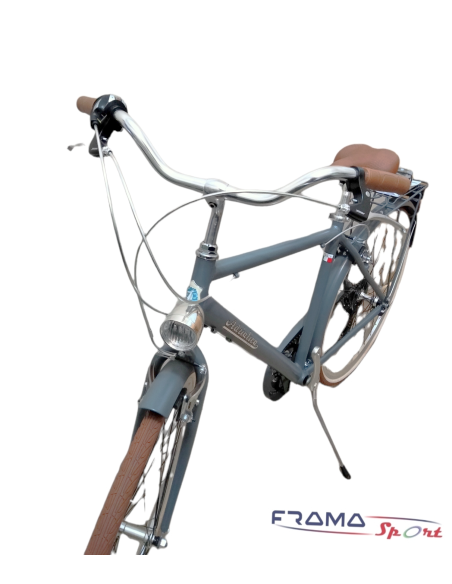 Bicicletta Adriatica Vintage Retro uomo grigio