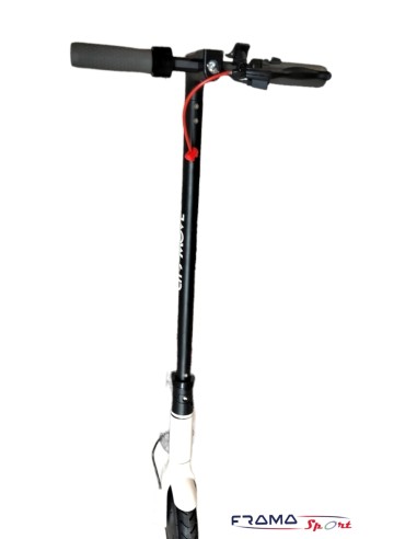 Monpoattino elettrico NCX CITY MOVE R...