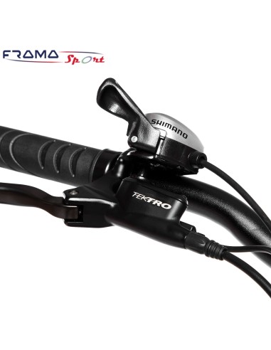 Bici a pedalata assistita Techbike...