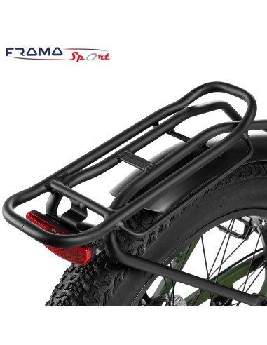 Bici a pedalata assistita pieghevole...