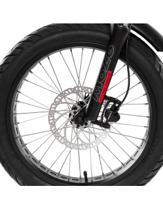 Bici a pedalata assistita... 2