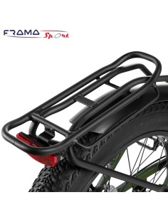 Bici a pedalata assistita... 2