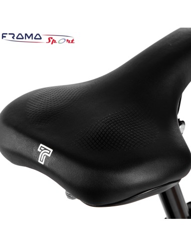 Bici a pedalata assisitita Techbike...