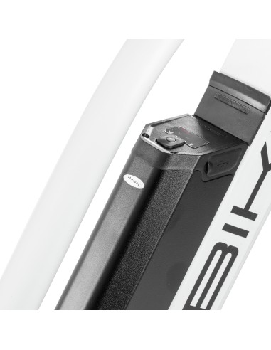 Bici a pedalata assisitita Techbike...