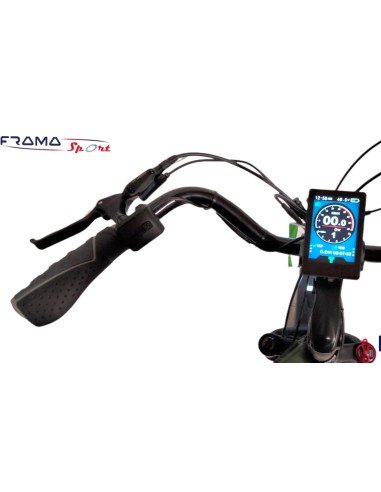 Bici a pedalata assistita Techbike...