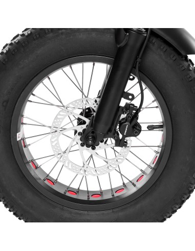 Bici a pedalata assistita Tecnobike...