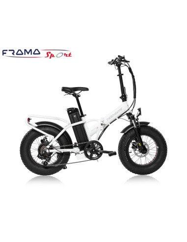 Bici a pedalata assistita Tecnobike...