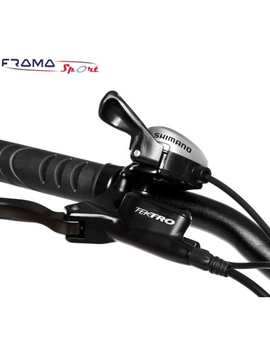 Bici a pedalata assistita Tecnobike...