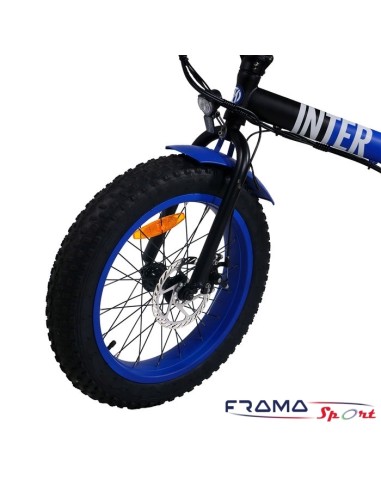 Bici a pedalata assistita pieghevole...