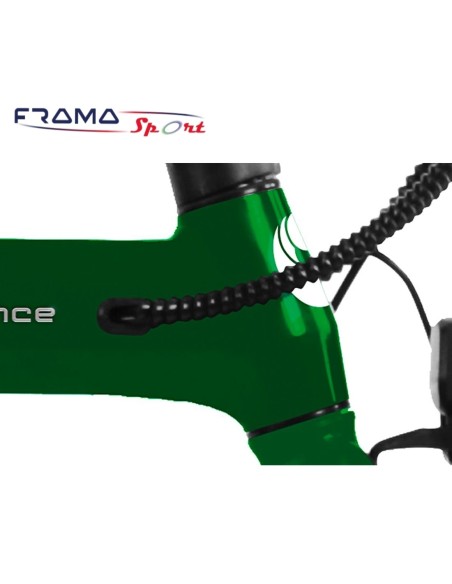 Bici a pedalata assistita The One A1 Elegance 36V - 250W Verde