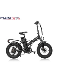 Bici a pedalata assistita...