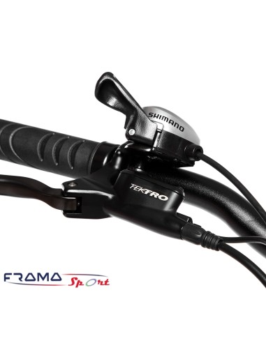 Bici a pedalata assistita Techbike...