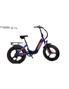 Bici a pedalata assistita...