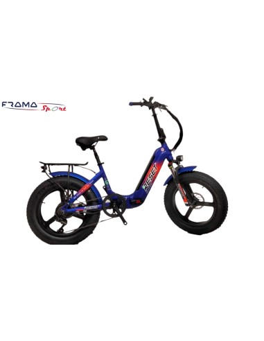 Bici a pedalata assistita pieghevole...