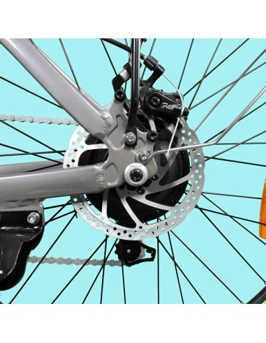 Bicicletta elettrica DME Bike...