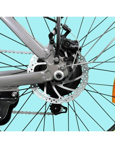 Bicicletta elettrica DME Bike Friendly V3.2 250W 36V