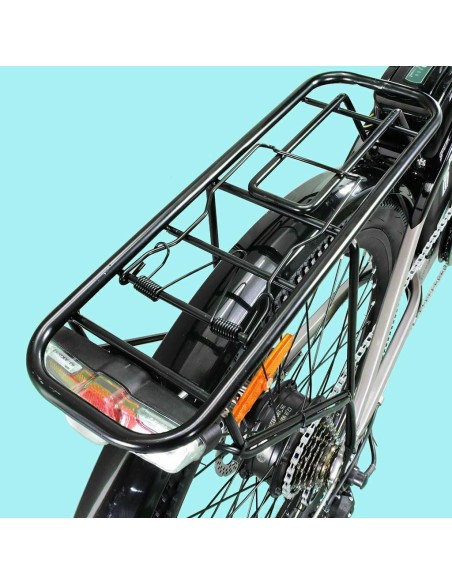 Bicicletta elettrica DME Bike Friendly V3.2 250W 36V