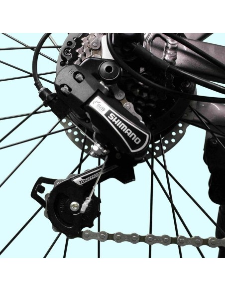 Bicicletta elettrica DME Bike Friendly V3.2 250W 36V