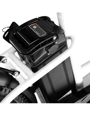 Bici a pedalata assistita Bike Mobile...