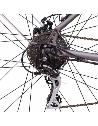 Bici elettrica Electrianima 250W 36V...