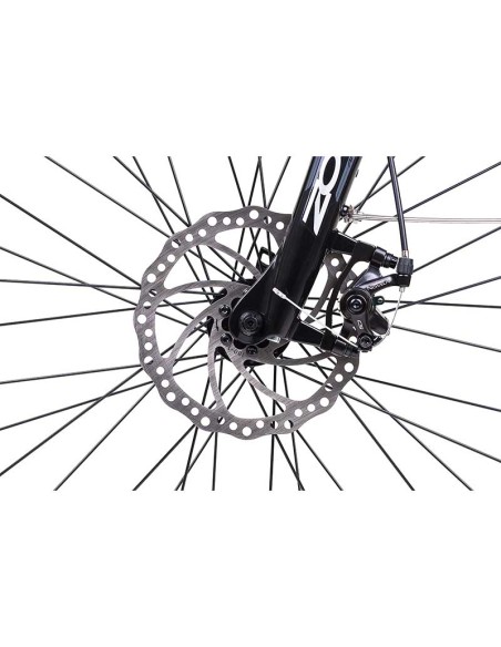 Bici elettrica Electrianima 250W 36V Nera