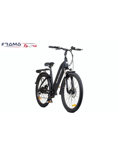Bici elettrica Electrianima 250W 36V...