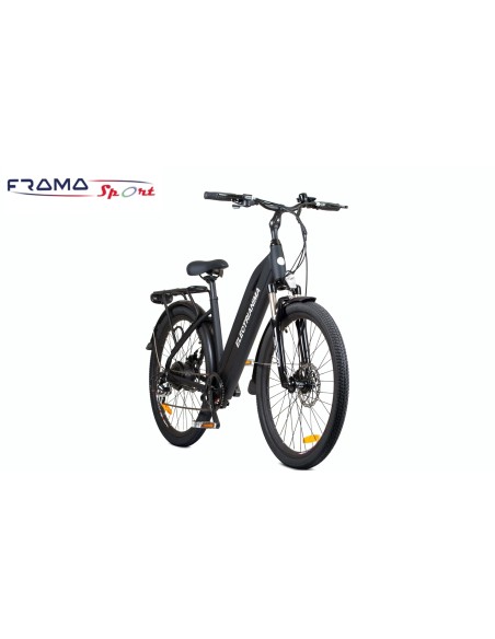 Bici elettrica Electrianima 250W 36V Nera