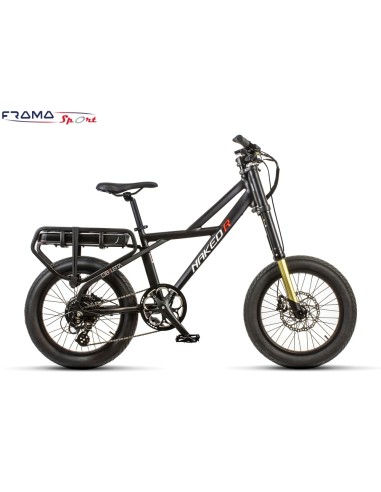 Bici a pedalata assistita  Ekletta...