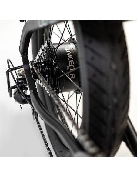 Bici a pedalata assistita  Ekletta Naked 48V