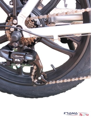 Bici a pedalata assistita E-BIKE Bike...