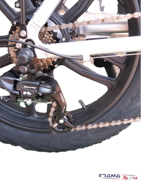 Bici a pedalata assistita E-BIKE Bike Mobile Dardo RS36V 10Ah Argento