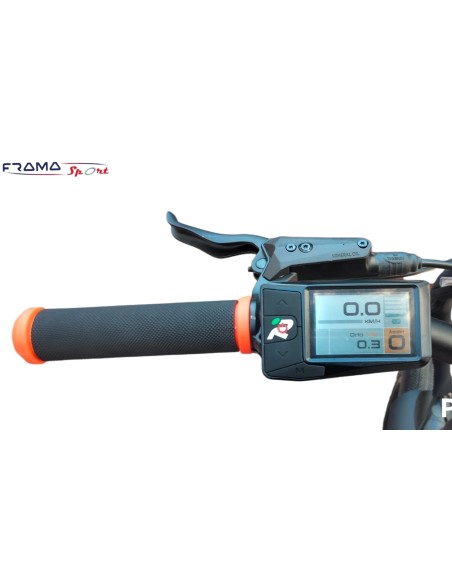 Bici elettrica pieghevole Reset RRS 750W Nero